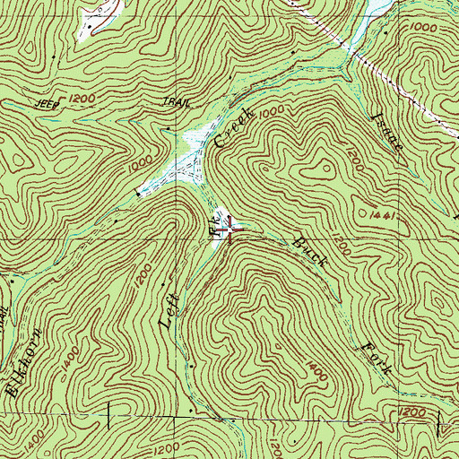 Topographic Map of Buck Fork, KY