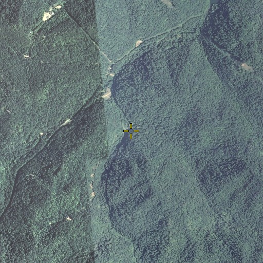 Aerial/Satellite Image of Buck Fork, KY