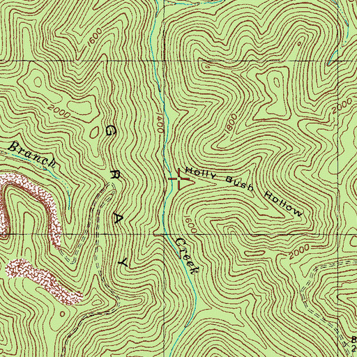 Topographic Map of Holly Bush Hollow, KY