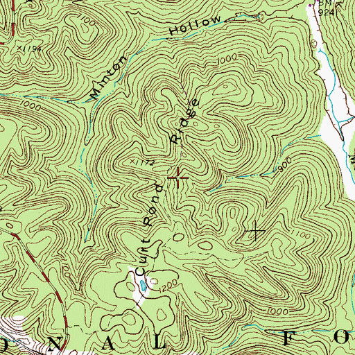 Topographic Map of Curt Pond Ridge, KY