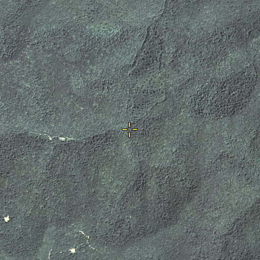 Aerial/Satellite Image of Joe Branch, KY