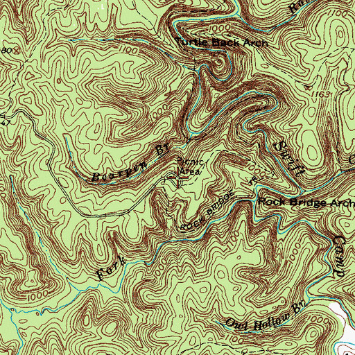 Topographic Map of Rock Bridge Picnic Area, KY