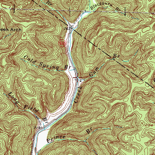 Topographic Map of Gum Branch, KY