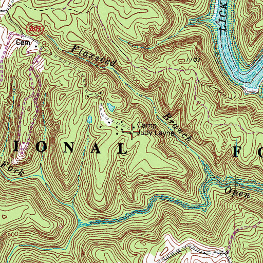 Topographic Map of Camp Judy Layne, KY