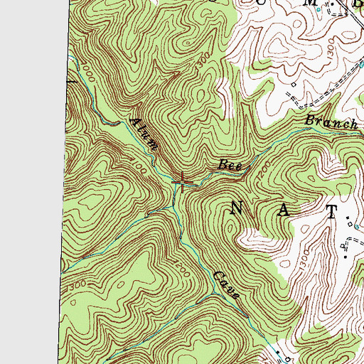Topographic Map of Bee Branch, KY