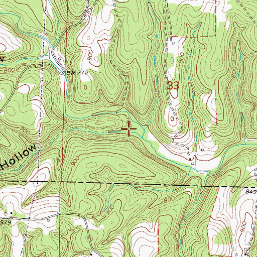 Topographic Map of Marshall Hollow, AR