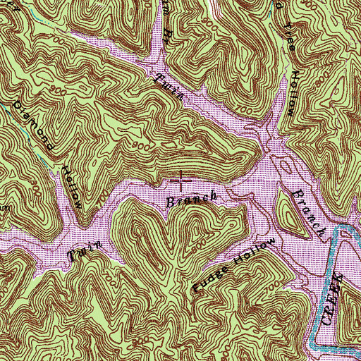 Topographic Map of Lower Twin Branch School (historical), KY