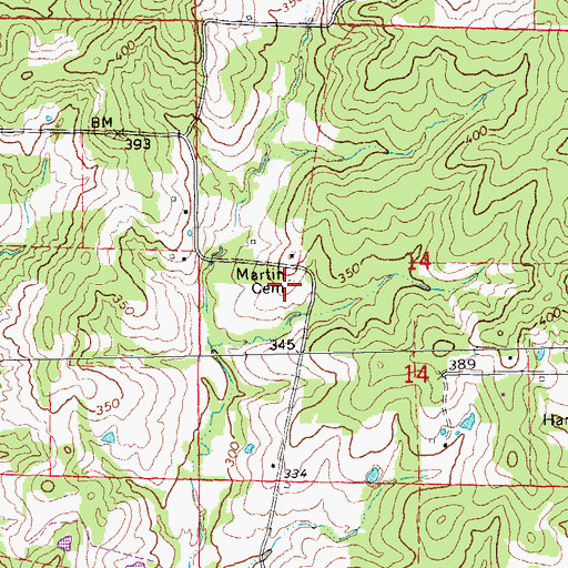 Topographic Map of Martin Cemetery, AR