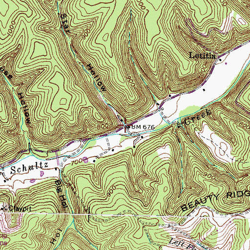 Topographic Map of Star Hollow, KY