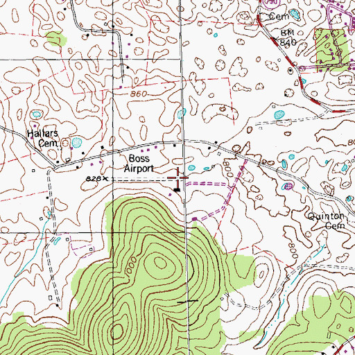 Topographic Map of Boss Airport, KY