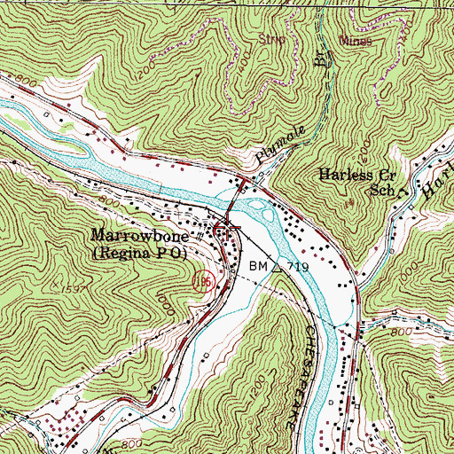Topographic Map of Marrowbone, KY