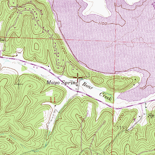 Topographic Map of Mayo Spring, AR