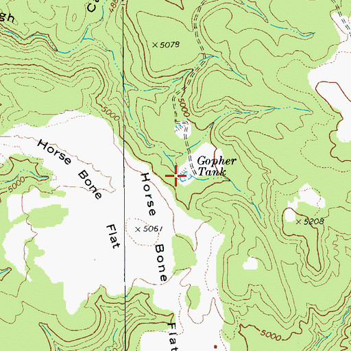 Topographic Map of Gopher Tank, AZ
