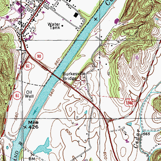 Topographic Map of WKYR-AM (Burkesville), KY