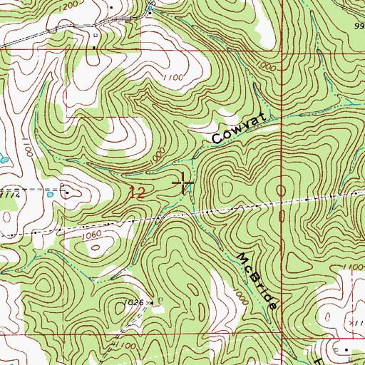 Topographic Map of McBridge Hollow, AR