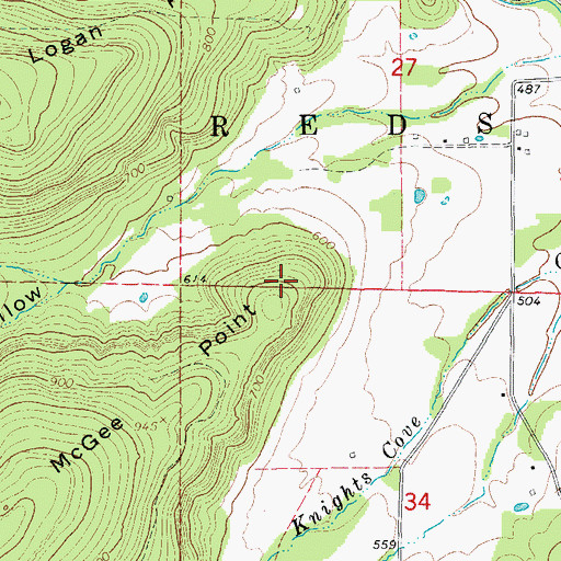 Topographic Map of McGee Point, AR