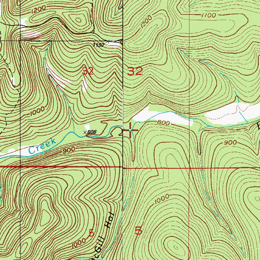 Topographic Map of McGill Hollow, MO
