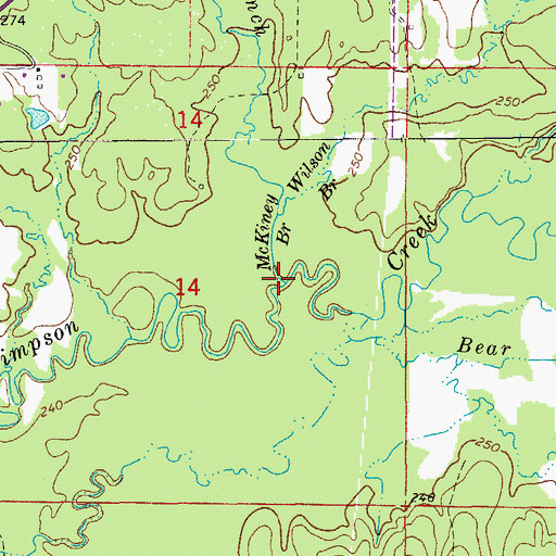 Topographic Map of McKiney Branch, AR