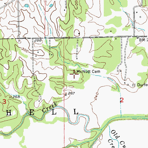 Topographic Map of McNutt Cemetery, AR