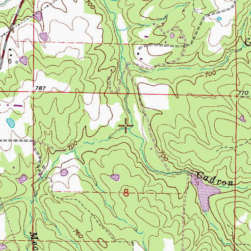 Topographic Map of Mecum Branch, AR