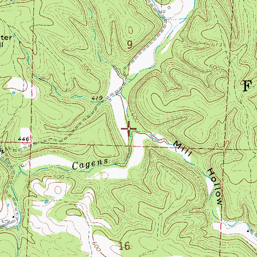 Topographic Map of Mill Hollow, AR