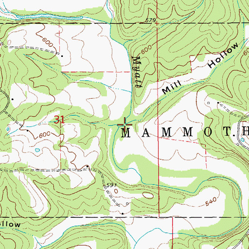 Topographic Map of Mill Hollow, AR