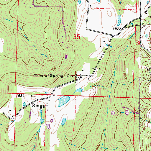 Topographic Map of Mineral Springs Cemetery, AR