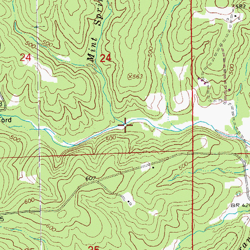 Topographic Map of Mint Spring Branch, AR