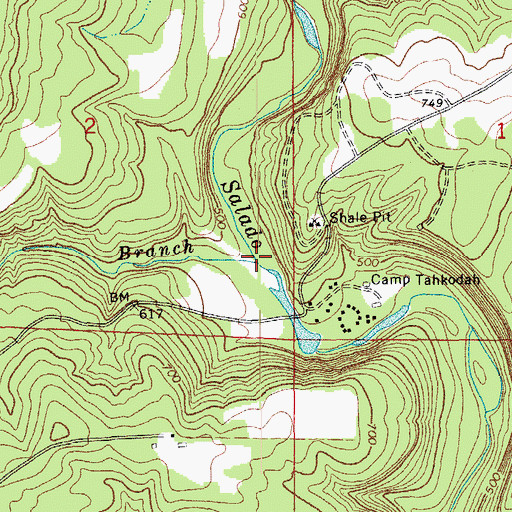 Topographic Map of Mitchell Branch, AR