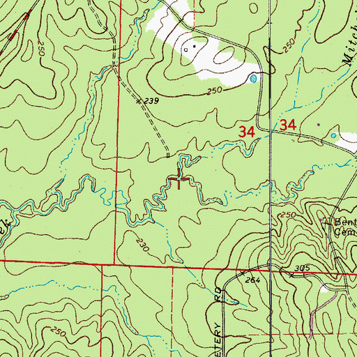 Topographic Map of Mitchell Branch, AR
