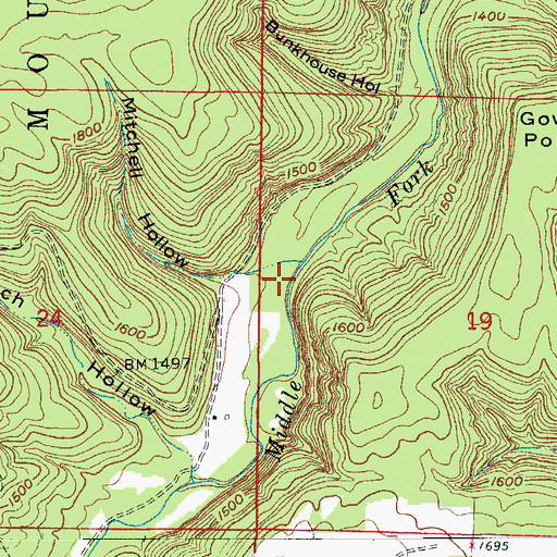 Topographic Map of Mitchell Hollow, AR