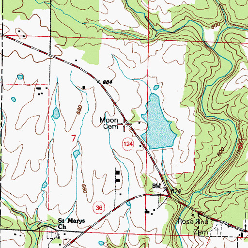 Topographic Map of Moon Cemetery, AR