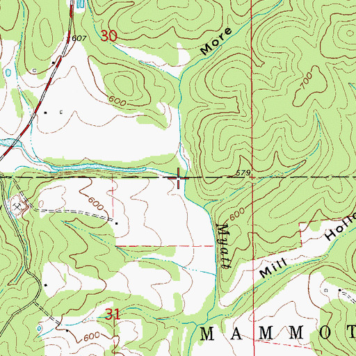 Topographic Map of More Hollow, AR