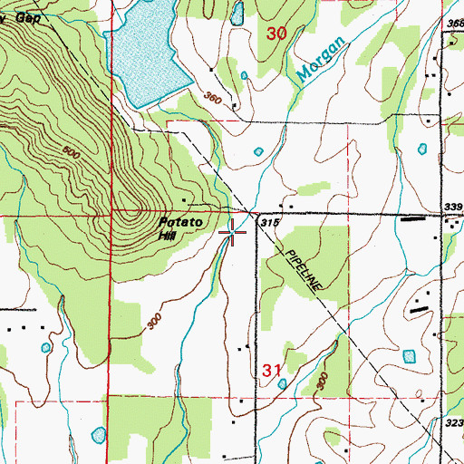 Topographic Map of Morgan Branch, AR