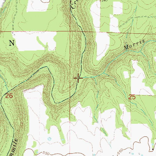 Topographic Map of Morris Branch, AR
