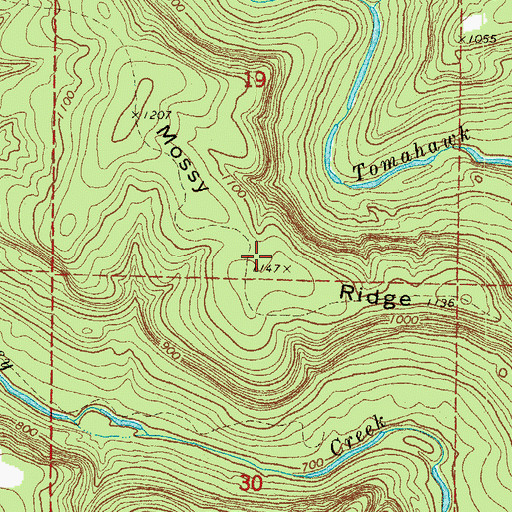 Topographic Map of Mossy Ridge, AR