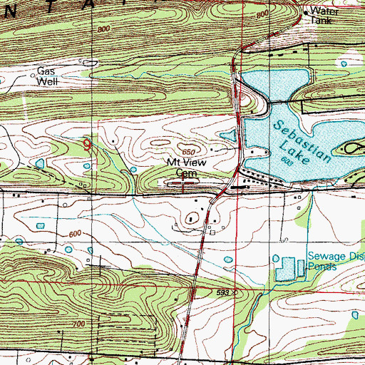Topographic Map of Mount View Cemetery, AR
