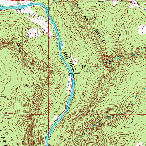 Topographic Map of Mule Hollow, AR