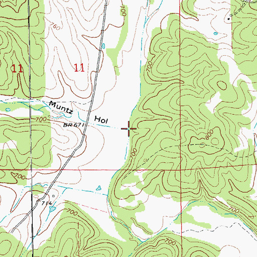 Topographic Map of Muntz Hollow, AR