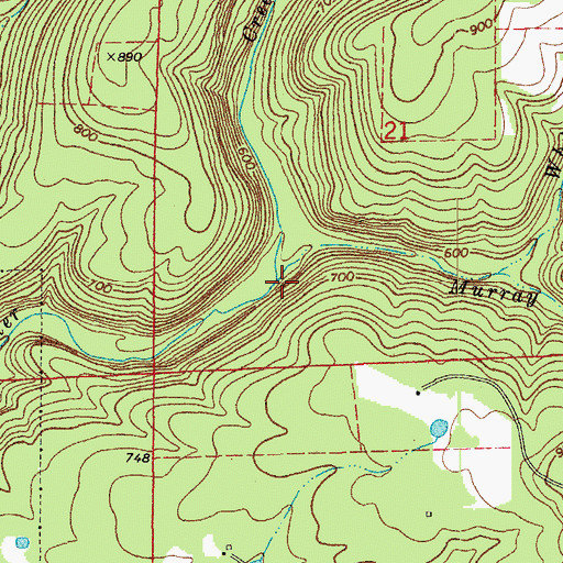 Topographic Map of Murray Branch, AR