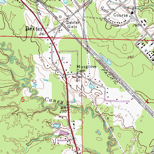 Topographic Map of Musgrove Cemetery, AR