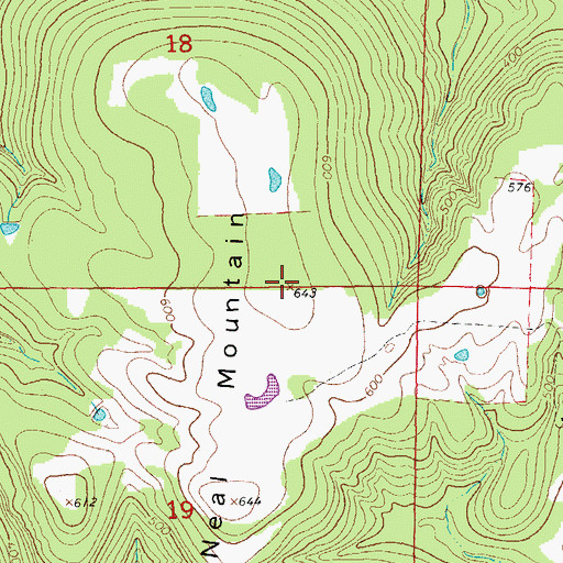 Topographic Map of Neal Mountain, AR