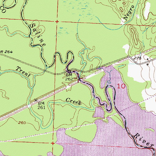 Topographic Map of Negro Branch, AR