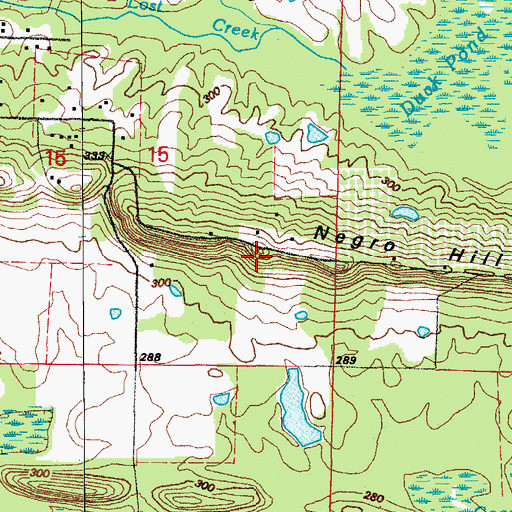 Topographic Map of Negro Hill, AR