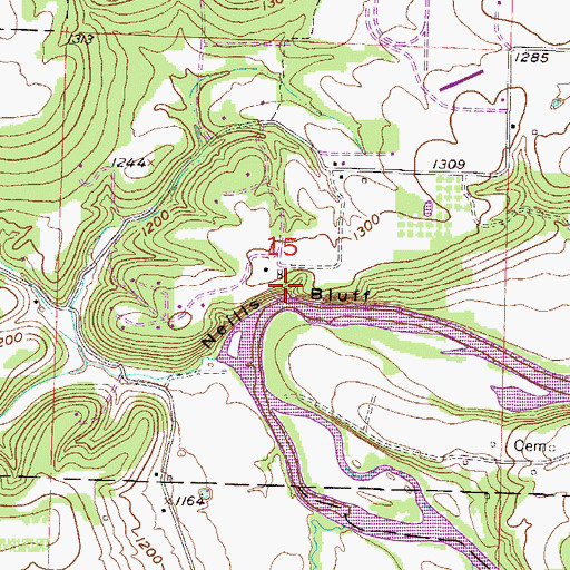 Topographic Map of Neills Bluff, AR