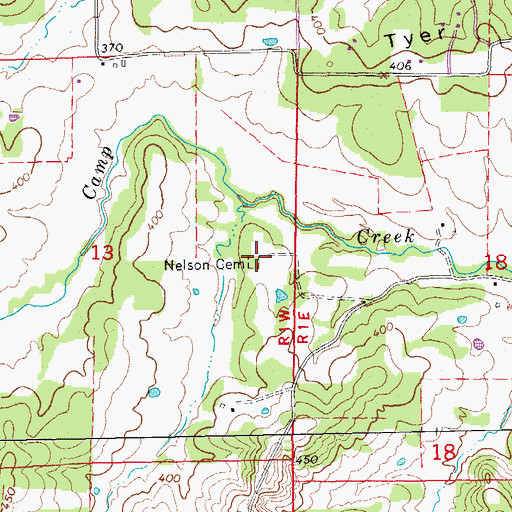 Topographic Map of Nelson Cemetery, AR