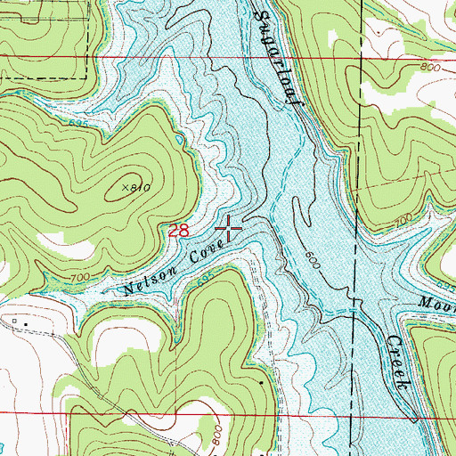Topographic Map of Nelson Cove, AR