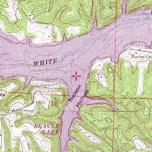 Topographic Map of Nelson Hollow, AR