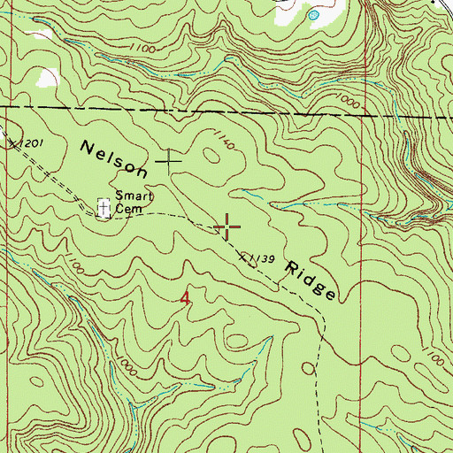 Topographic Map of Nelson Ridge, AR