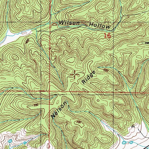 Topographic Map of Nelson Ridge, AR